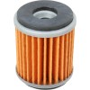 KXF 450 2016-2025 Oil Filter HIFLO