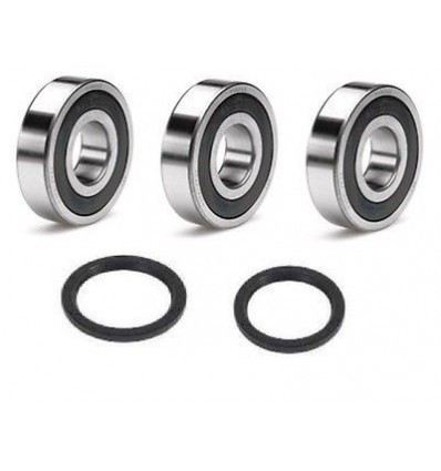 RMZ 250 2007-2021 RFX Rear wheel bearings kit