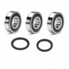 RMZ 250 2007-2021 RFX Rear wheel bearings kit
