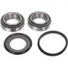 KTM SX/SXF/EXC/EXCF 1994-2023 STEERING STEM BEARING KIT RFX